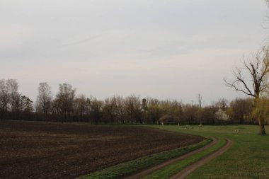 ülkede bahar