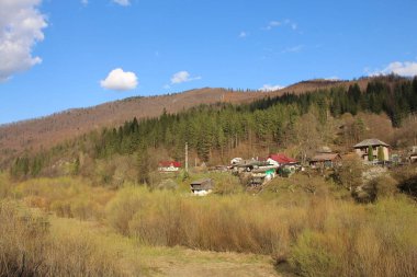 Yazın Ukrayna Karpatlar Köyü.
