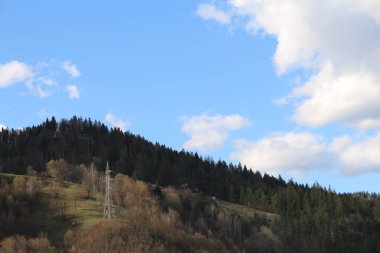 Ağacı ve bulutlu gökyüzü olan güzel bir manzara.