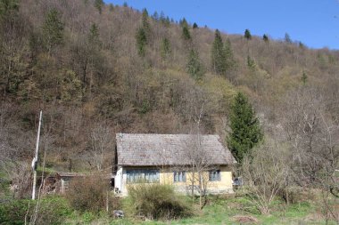 Ukrayna Karpatlar 'ında eski bir ev
