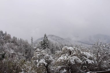 Bir kış günü, karların üstünden bir manzara.