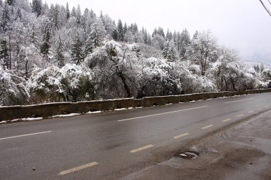 Karla kaplı ağaçlarla kaplı kış manzarası
