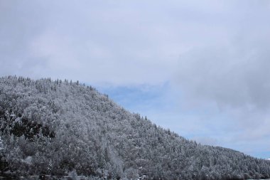 Karla kaplı ağaçlarla kaplı kış manzarası