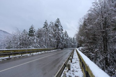 Karlı kış manzarası