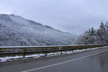 Kış ormanında bir yol