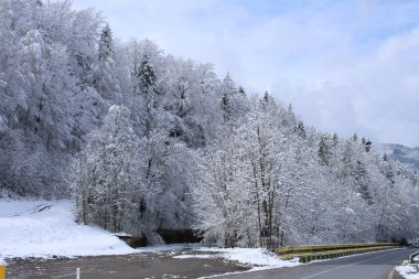 Bir yolu olan kış manzarası