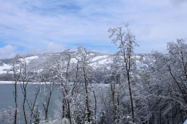 Kar ve ağaçlarla kaplı kış manzarası