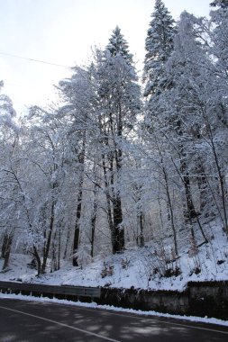 Dağlarda kış manzarası