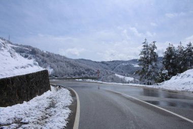 Kar ve ağaçlarla dolu güzel kış manzarası