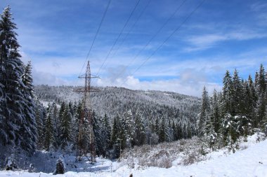 köknar ormanlı güzel kış manzarası