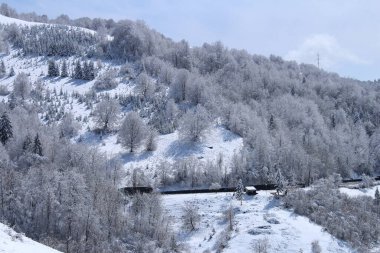 Dağlarda kış manzarası