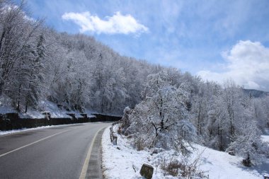 Karla kaplı ağaçlarla kaplı kış manzarası