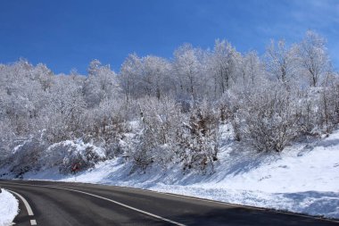Kar ve ağaçlarla kaplı kış manzarası