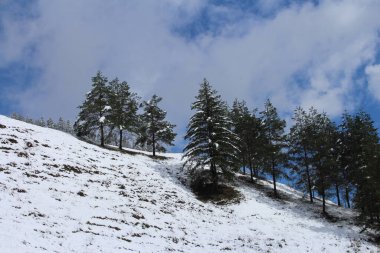 Karlı güzel kış manzarası