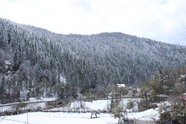 Karlı ve ağaçlı güzel bir manzara.