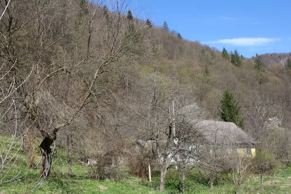 Doğanın güzel manzarası