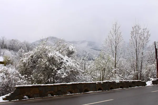 Dağların güzel manzarası