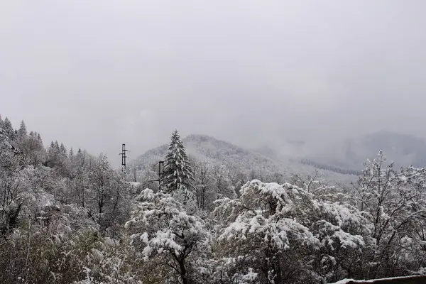 Bir kış günü, karların üstünden bir manzara.