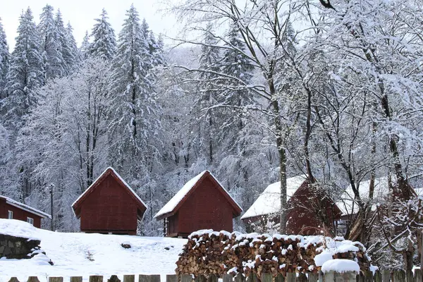 Güzel kış manzarası, karla kaplı bir ev.