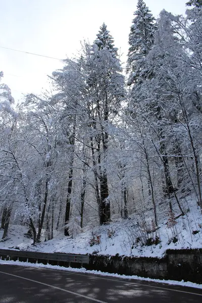 Dağlarda kış manzarası