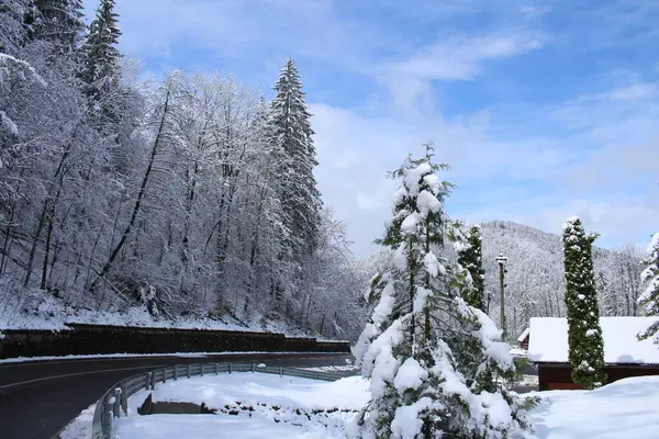 İsviçre Alplerinde kış