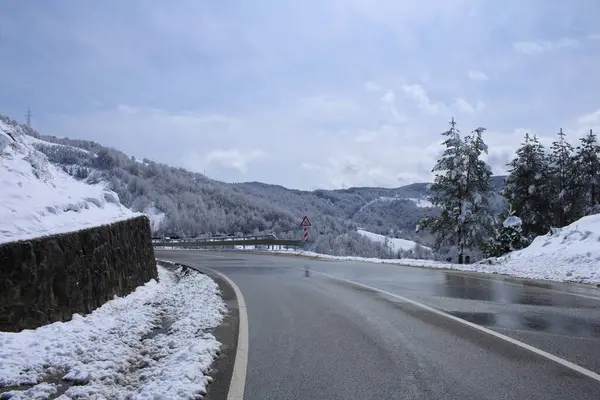 Kar ve ağaçlarla dolu güzel kış manzarası