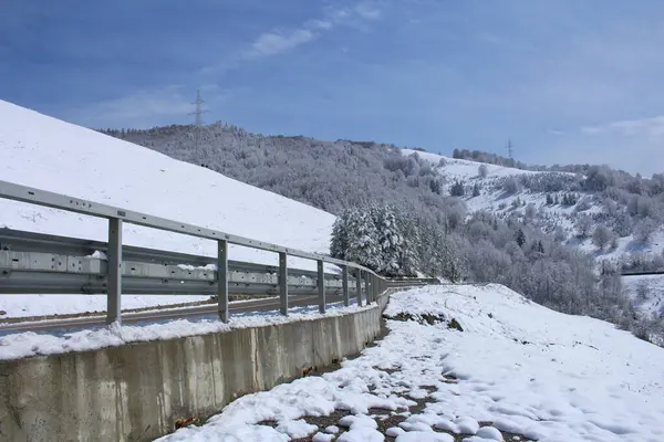 Ağaçlarla kaplı kış manzarası