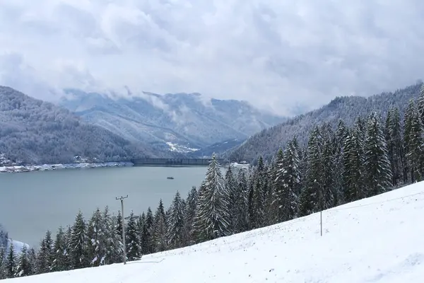Alplerdeki kış dağlarının manzarası