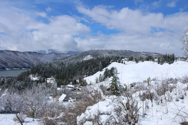 Karlı kış manzarası