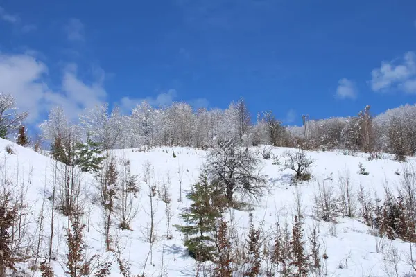 Karla kaplı dağlarla kaplı kış manzarası