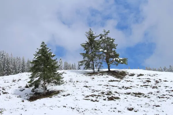 dağ manzarası ile kar kış