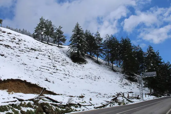 Karlı bir ormanda karlı dağların ve yolların güzel bir görüntüsü.