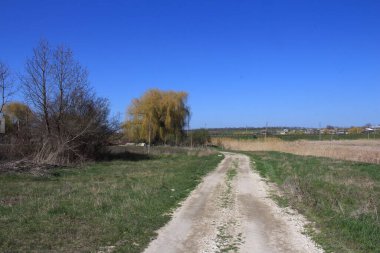 Ağaçlarla ve mavi gökyüzüyle güzel bir manzara.
