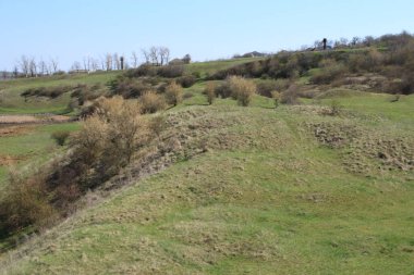 Bir tarlası ve mavi gökyüzü olan bir dağ manzarası.