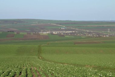 yeşil alan ve gökyüzü