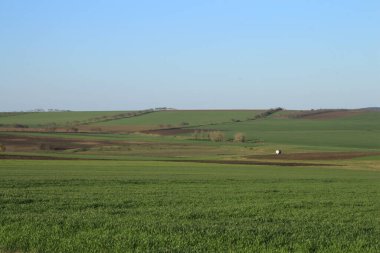 Yazın kırsal alanlarda