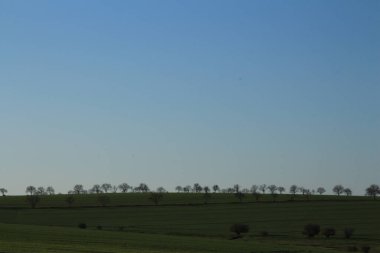 Doğanın güzel manzarası