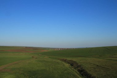 Arka planda yeşil çimenler ve mavi gökyüzü olan manzara