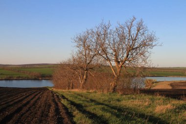 Bahar manzara kırsal kesimde
