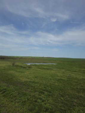 Arkasında bir göl olan güzel bir manzara.