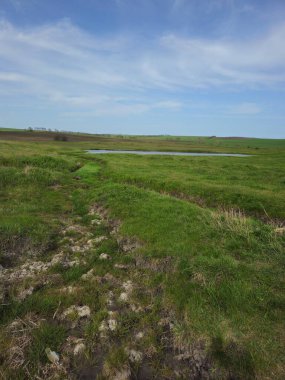 Nehir ve gölü olan güzel bir manzara.