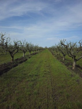 Doğanın güzel manzarası