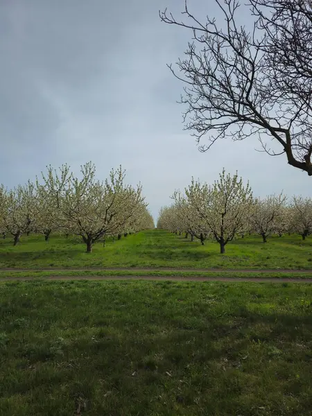 Doğanın güzel manzarası