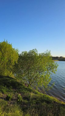 Güzel göl manzarası