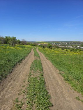 Yeşil çimenli bir tarla