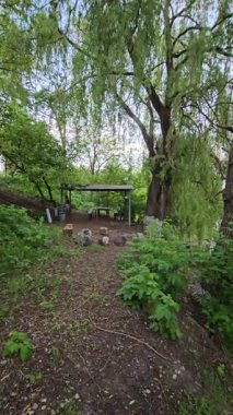 Sabah parkın şehri.