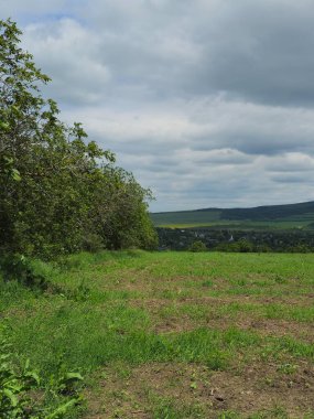 Doğanın güzel manzarası