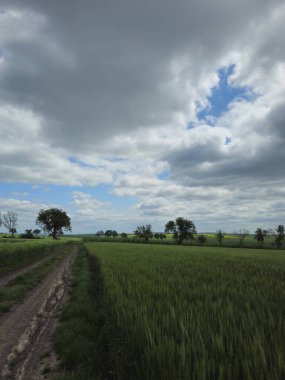 Kırsal kesimde güzel manzara