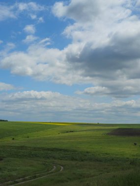 Buğday tarlası ve mavi gökyüzü olan güzel bir manzara.