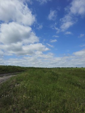 Buğday tarlası ve bulutlu gökyüzü olan güzel bir manzara.